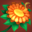 Blossom of Nirvana
